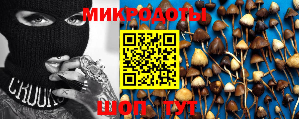 Галлюциногенные грибы MAGIC MUSHROOMS  наркота  Луховицы  Вход с VPN  Псилоцибиновые грибы мухоморы 